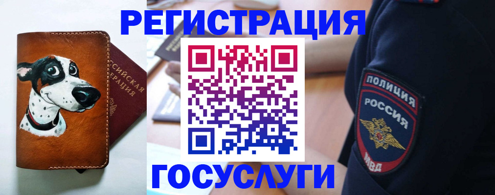 временная регистрация в квартире в Краснодарском крае